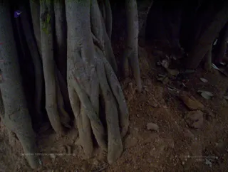 Bidadi Arati - 100_1924_watermark.JPG