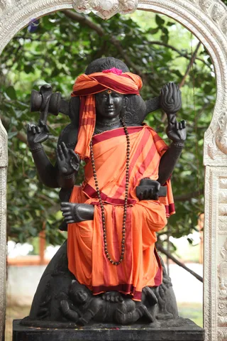 Banyan-Tree - watermark_IMG_6751.JPG