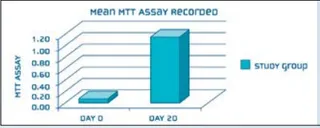 MTT Assay - Steps