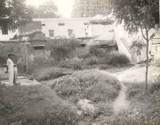 Kailasa Paramparagatha Kanchee Kailasa Sarvajnapeetham