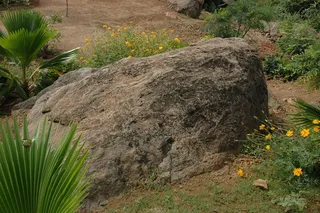 Kailasa Paramparagatha Arunagiri Yogishwara Adi Arunachala Sarvajnapeetha Samrajyam