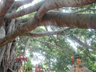 Poorvanga Rituals - DSC03716_watermark.JPG