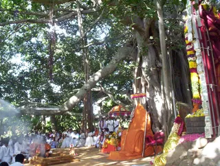 Guru Poornima - Picture 020_watermark.jpg