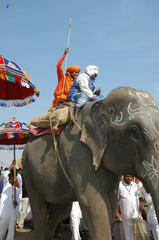 Elephant Ride - india-Ashram-Dic.30-31-1 -.05-06 281_watermarked.jpg