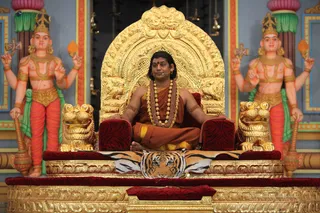 Nithya Satsang Swamiji - IMG_3687.jpg