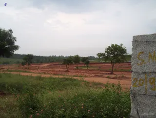 Ashram - 100_3997_watermarked.jpg