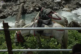 Enroute Kedarnath - DSC_0171_watermarked.jpg