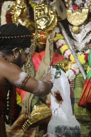 Swayambhulingaabhishekam - 7T7A9475.jpg