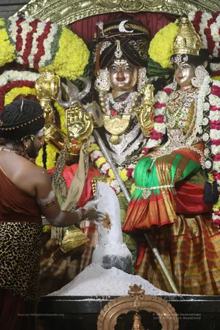 Swayambhulingaabhishekam - 7T7A9404.jpg