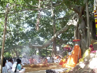 Guru Poornima - Picture 028_watermark.jpg