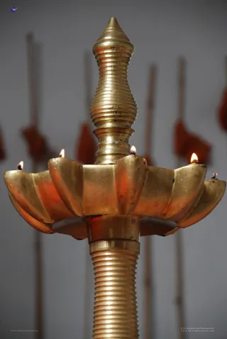 Homa - DSC_0257_watermarked.jpg