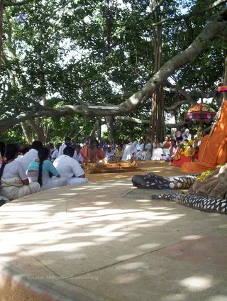 Guru Poornima - Picture 022_watermark.jpg