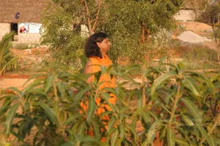 Swamiji-In-Rounds - DSC_2696.JPG