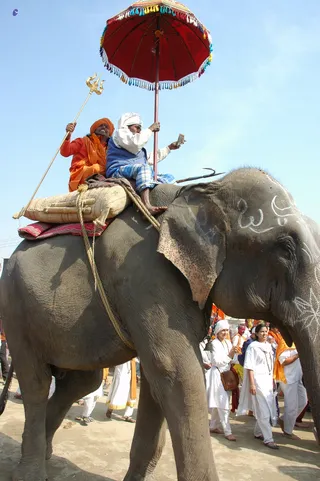 Elephant Ride - india-Ashram-Dic.30-31-1 -.05-06 289_watermarked.jpg