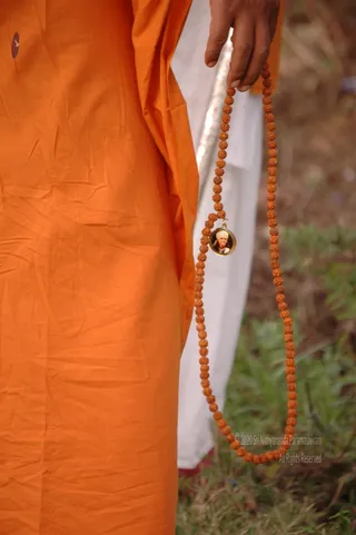Swamiji-In-Rounds - DSC_2520.JPG