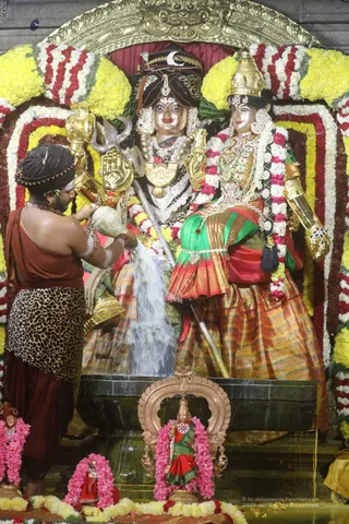 Swayambhulingaabhishekam - 7T7A9217.jpg