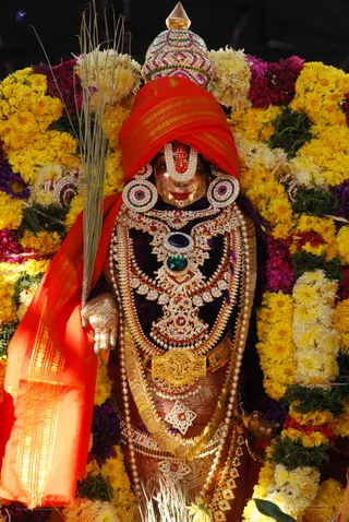 Homa - DSC_0220_watermarked.jpg
