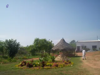 April 24 2005