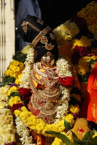 Homa - DSC_0221_watermarked.jpg