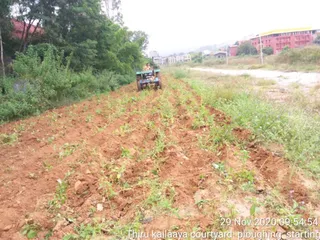 June 06 2021