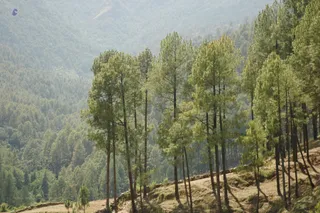 Enroute Khardifal - Picture 308_watermark.jpg