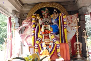 Homa - DSC_0252_watermarked.jpg