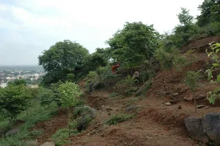 Kailasa Paramparagatha Arunagiri Yogishwara Adi Arunachala Sarvajnapeetha Samrajyam