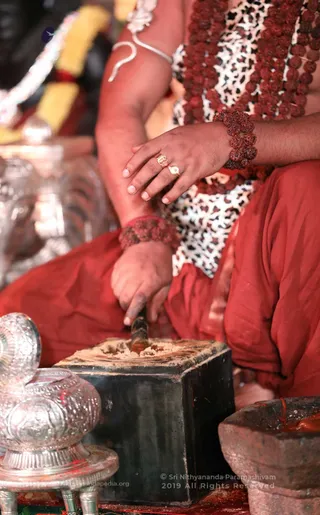 Mahasadashivoham-Aushadha-Process - 7T7A7085.jpg