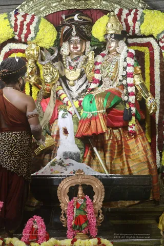 Swayambhulingaabhishekam - 7T7A9446.jpg