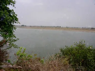 May 19 2006
