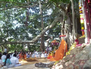 Guru Poornima - Picture 015_watermark.jpg