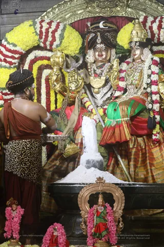 Swayambhulingaabhishekam - 7T7A9396.jpg