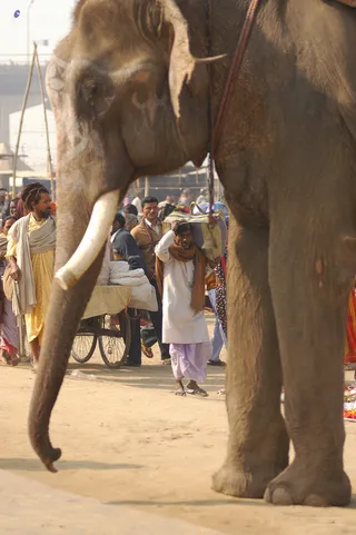 Glimpses Of Kumbh - india-Ashram-Dic.30-31-1 -.05-06 187_watermarked.jpg