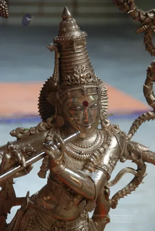 Swamiji-Doing-Pranaprathistha-To-Deities - DSC_3316.JPG