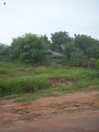 Ashram - 100_3880_watermarked.jpg
