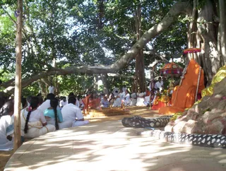 Guru Poornima - Picture 012_watermark.jpg