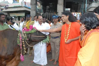 Visit-To-Arunachaleshwara-Temple - 02--Swamiji-Feeding-and-blessing-sacred-cow_3.jpg