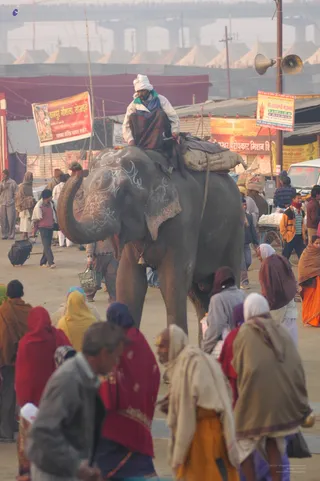 Glimpses Of Kumbh - india-Ashram-Dic.30-31-1 -.05-06 157_watermarked.jpg