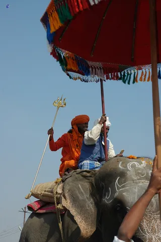 Elephant Ride - india-Ashram-Dic.30-31-1 -.05-06 285_watermarked.jpg