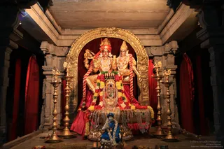 Welcoming-Swamiji-From-World-Tour - watermark_IMG_5497.JPG
