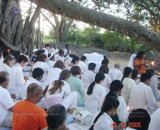 Evening Session - DSC00062_watermark.JPG