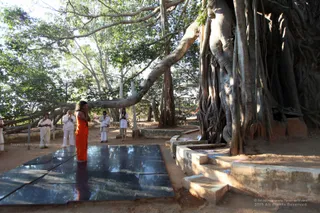 Temple - IMG_8427_watermarked.JPG