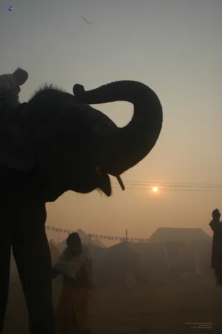Glimpses Of Kumbh - DSC_5485_watermarked.jpg