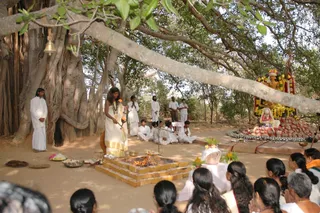 Shivasutras - Dsc_0167_watermark.jpg