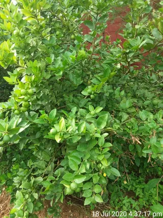 June 05 2021