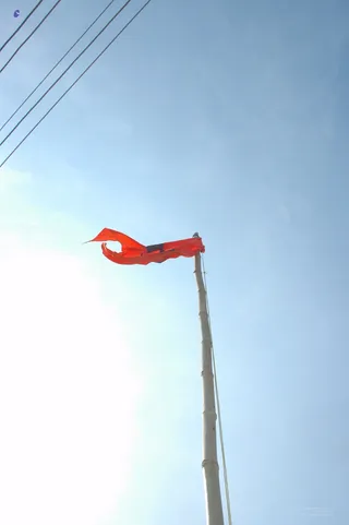 Flag Hoisting - india-Ashram-Dic.30-31-1 -.05-06 272_watermarked.jpg