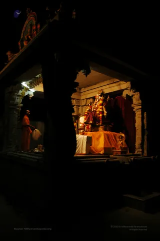 Arati Dakshinamurti - DSC_5587_watermark.JPG