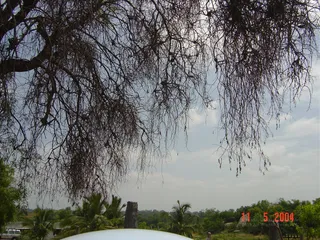 At The Ashram - 12--DSC01450_watermark.jpg