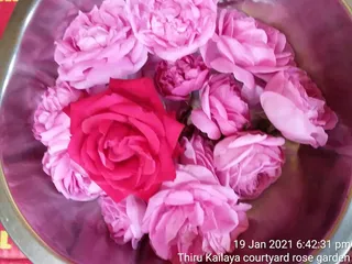 June 06 2021