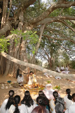 Shivasutras - Dsc_0128_watermark.JPG